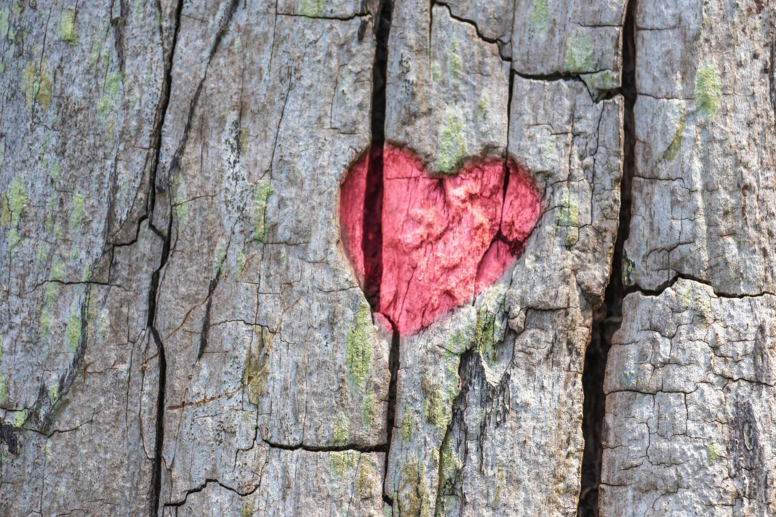 Los peligros de hacer amarres de amor caseros sin la orientación adecuada